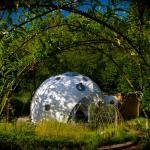 bamboo-dome-2