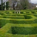 A-Maze-ing!