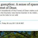 Forest Gumption