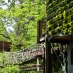 To Be, or Not To Be… a treehouse!!